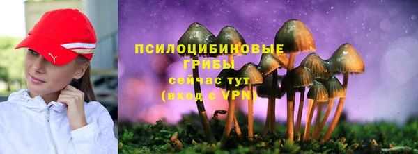 сатива Аркадак