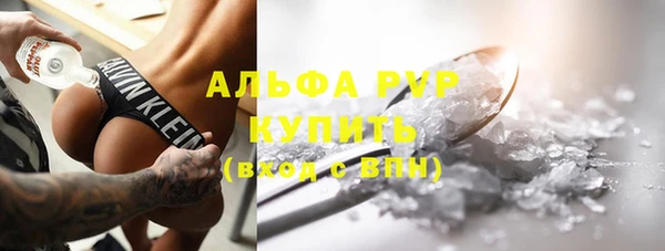сатива Аркадак