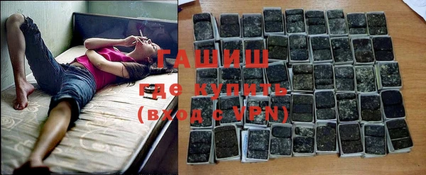 сатива Аркадак
