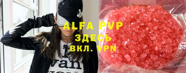 сатива Аркадак