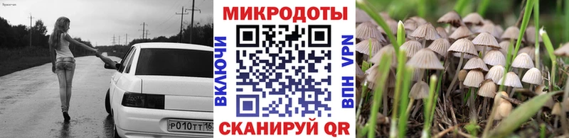 Псилоцибиновые грибы прущие грибы  Сычёвка 