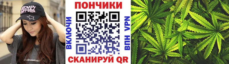 Бошки Шишки ГИДРОПОН  darknet официальный сайт  Сычёвка 